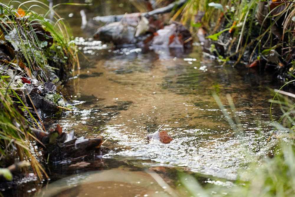 Klart vand i bækken